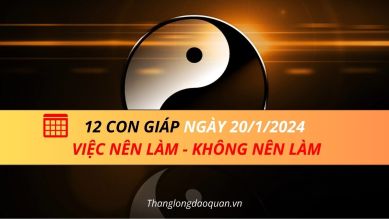 12 con giáp ngày 20/1/2024: Cần đặc biệt chú ý những việc gì?