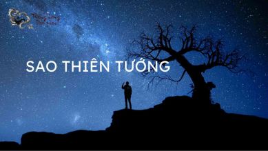 Bàn luận về sao Thiên Tướng - chính tinh chủ về quan lộc công danh