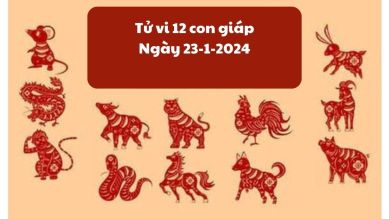 Vận trình công việc và tình cảm của 12 con giáp ngày 24/1/2024: Tuổi Tý bước qua những ngày khó khăn