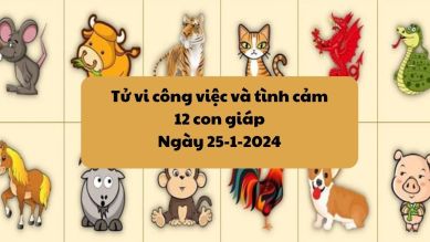 Vận trình công việc và tình cảm của 12 con giáp ngày 25/1/2024: Tuổi Tỵ dễ sai một ly đi một dặm