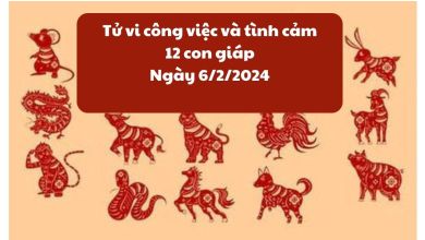 Tử vi công việc và tình cảm 12 con giáp ngày 6/2/2024: Người tuổi Hợi đón chào nhiều niềm vui