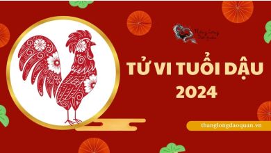 Tử vi tuổi Dậu 2024 - Không còn vất vả, tài lộc sinh sôi