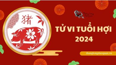 Tử vi tuổi Hợi 2024 - Giông bão đã qua, tài lộc sắp đến