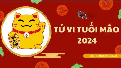 Tử vi tuổi Mão năm 2024 - Luận giải chi tiết sự nghiệp công danh từng năm sinh