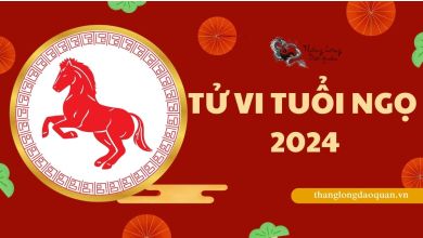 Tử vi tuổi Ngọ 2024 - Tài lộc hao tổn nhưng sự nghiệp thăng tiến