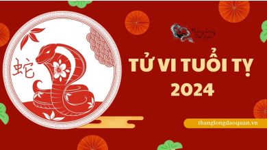 Tử vi tuổi Tỵ 2024 - Bình yên hạnh phúc, tài lộc dồi dào