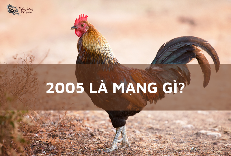 Người sinh năm 2005 thuộc tuổi Ất Dậu