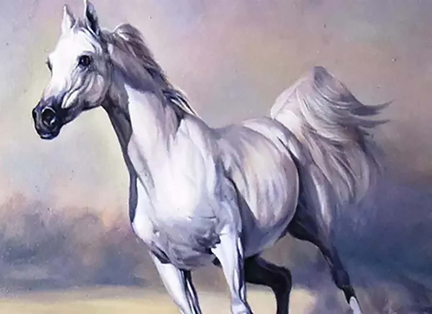 Cách hóa giải Phá Thái Tuế cho người tuổi Ngọ