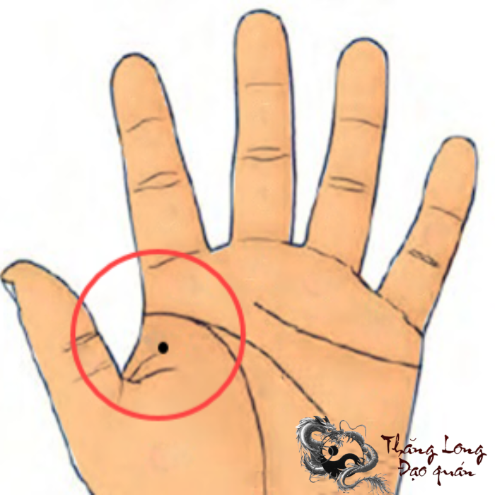 Gò Hoả Tinh dương nằm ở điểm gập của ngón tay cái trên bàn tay