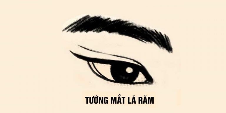 Mắt lá răm là gì? Mối tương quan của mắt lá răm đến vận mệnh