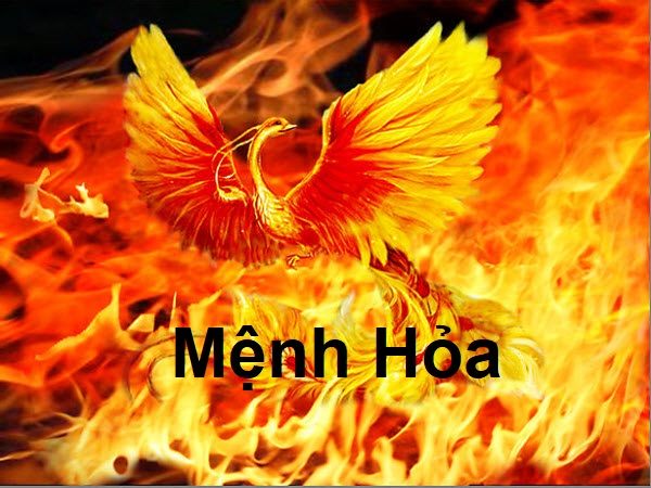 Người tuổi Tuất 1994 thuộc mệnh Hỏa Người tuổi Tuất 1994 thuộc mệnh Hỏa