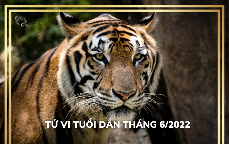 Tử vi Tuổi Dần tháng 6/2022