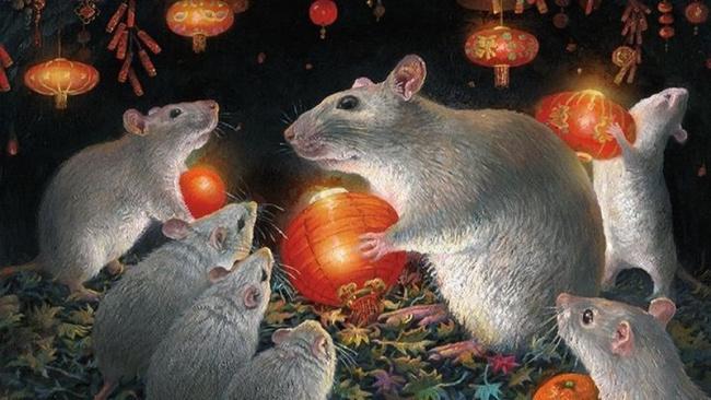 Tuổi Tý gặp hạn Hình Thái Tuế Tuổi Tý gặp hạn Hình Thái Tuế