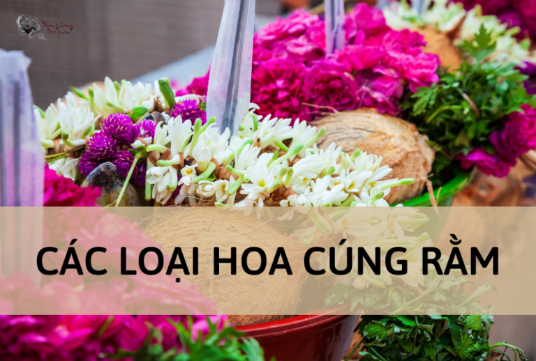 #7 loại hoa cúng rằm mang lại may mắn, hút tài lộc