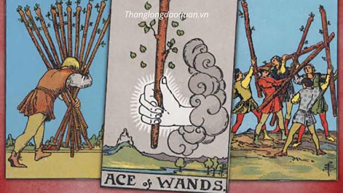 Ace of Wands đại diện cho một khởi đầu mới với rất nhiều tiềm năng