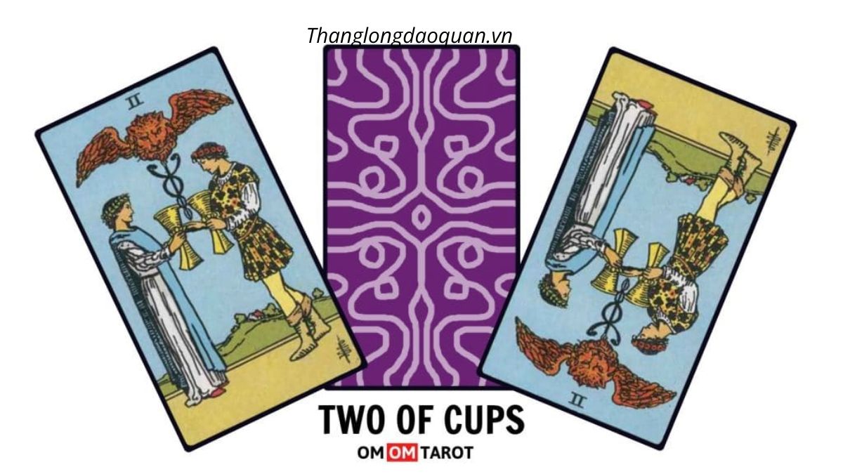 Lá Two of Cups báo hiệu điều tốt đẹp cho mối quan hệ hợp tác của Nhân Mã.