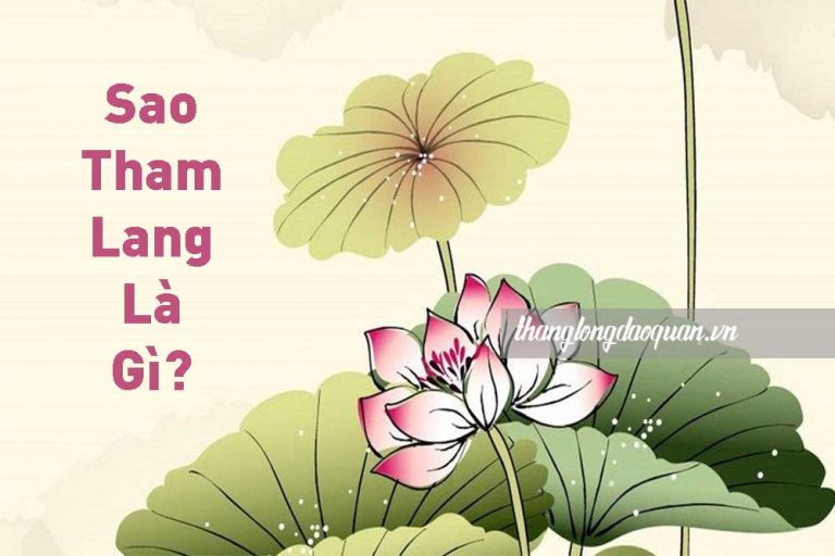 Lá số tử vi mệnh có chứa sao Tham Lang là Tốt hay Xấu