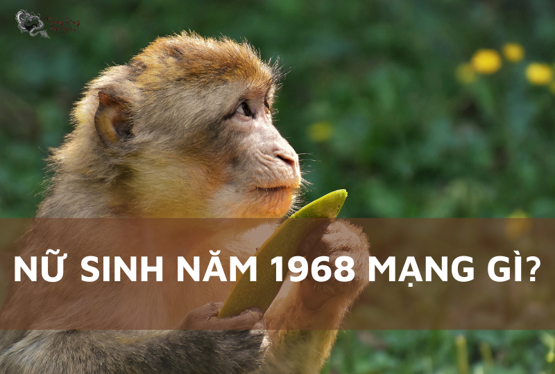 Người sinh năm 1968 thuộc năm Mậu Thân