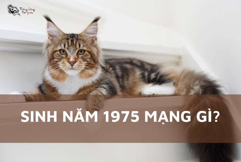 Người sinh năm 1975 thuộc tuổi Ất Mão