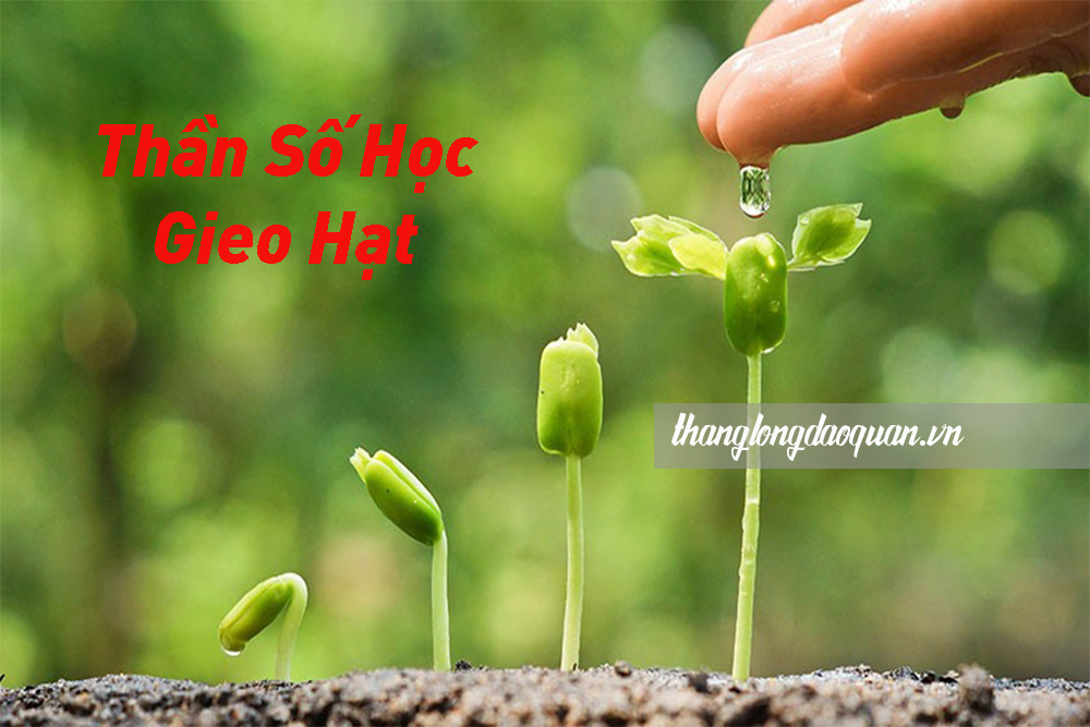thần số học có thật không thần số học có thật không