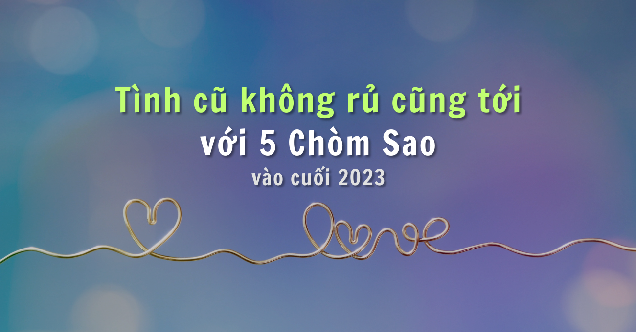 tinh-cu-khong-ru-cung-toi-voi-5-chom-sao-vao-cuoi-nam-2023