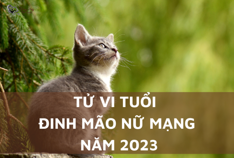 Giải mã tử vi người tuổi Đinh Mão 1987 năm 2023 nữ mạng